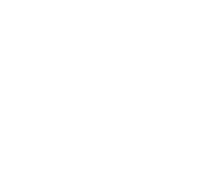 CH-Hoek-bird-logo